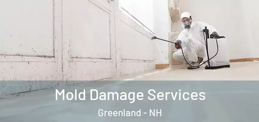  Mold Damage Services Greenland - NH