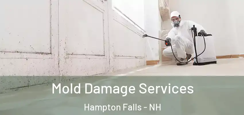 Mold Damage Services Hampton Falls - NH