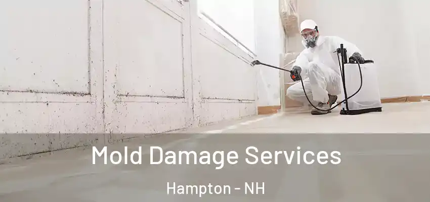 Mold Damage Services Hampton - NH