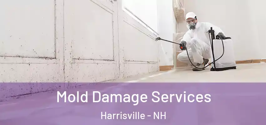  Mold Damage Services Harrisville - NH
