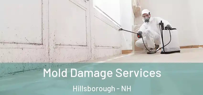  Mold Damage Services Hillsborough - NH