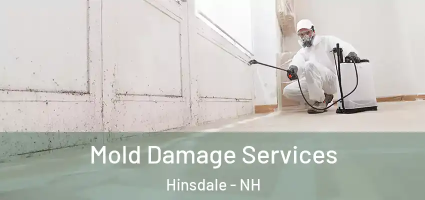  Mold Damage Services Hinsdale - NH