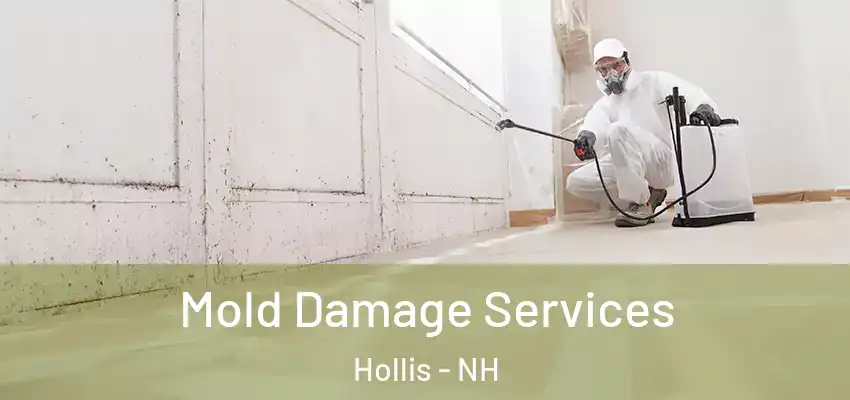  Mold Damage Services Hollis - NH