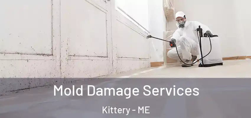  Mold Damage Services Kittery - ME