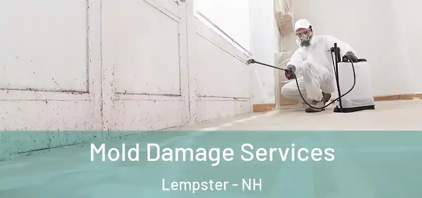  Mold Damage Services Lempster - NH