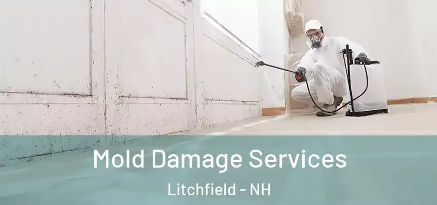  Mold Damage Services Litchfield - NH