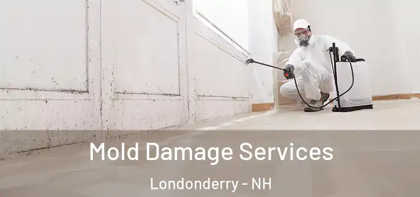 Mold Damage Services Londonderry - NH