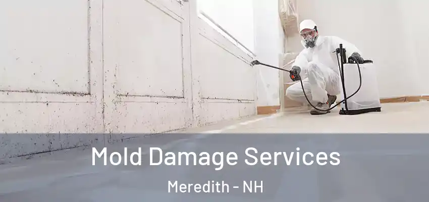  Mold Damage Services Meredith - NH
