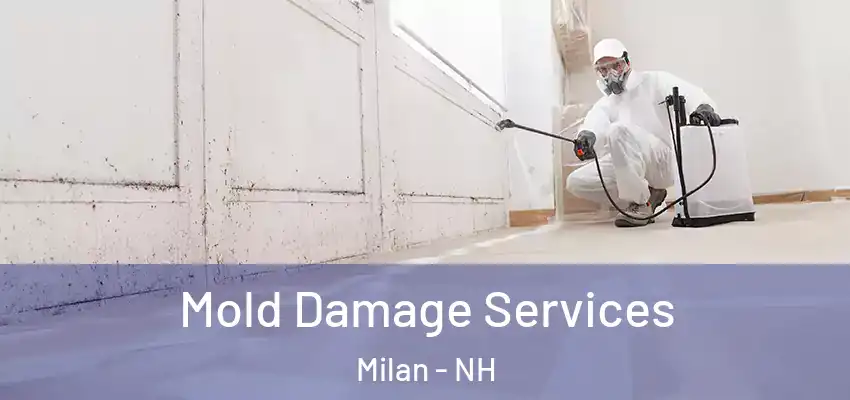  Mold Damage Services Milan - NH