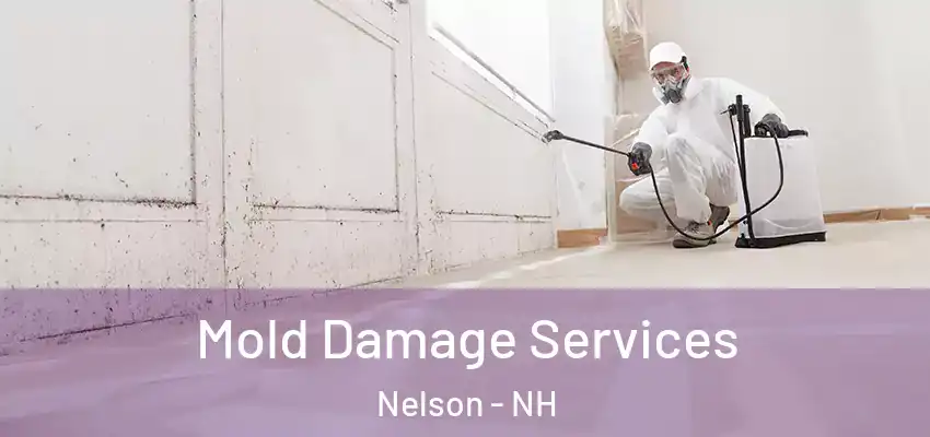  Mold Damage Services Nelson - NH