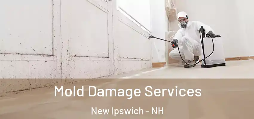  Mold Damage Services New Ipswich - NH