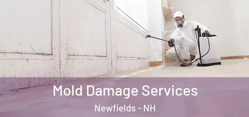 Mold Damage Services Newfields - NH