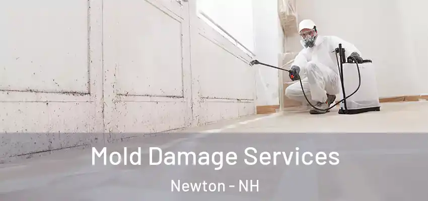  Mold Damage Services Newton - NH