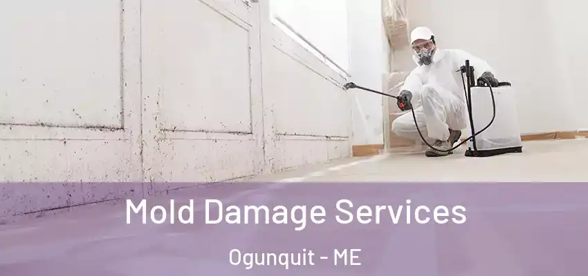  Mold Damage Services Ogunquit - ME