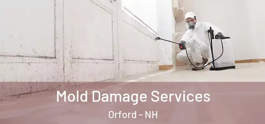  Mold Damage Services Orford - NH