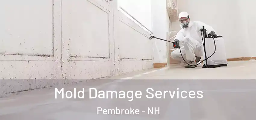  Mold Damage Services Pembroke - NH