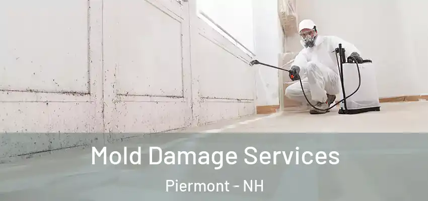  Mold Damage Services Piermont - NH