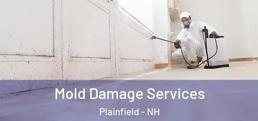  Mold Damage Services Plainfield - NH