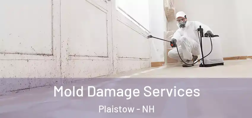  Mold Damage Services Plaistow - NH