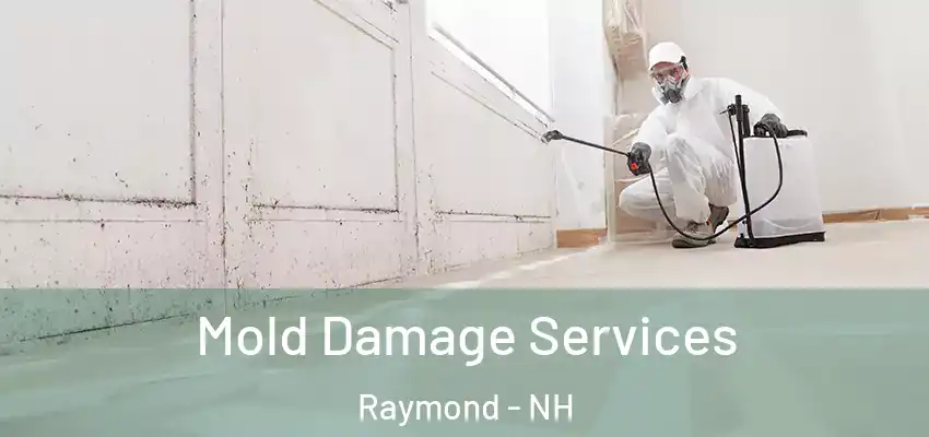  Mold Damage Services Raymond - NH