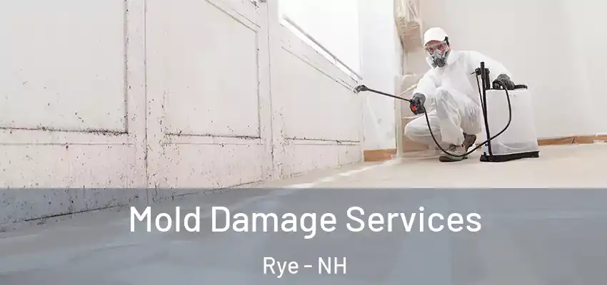 Mold Damage Services Rye - NH