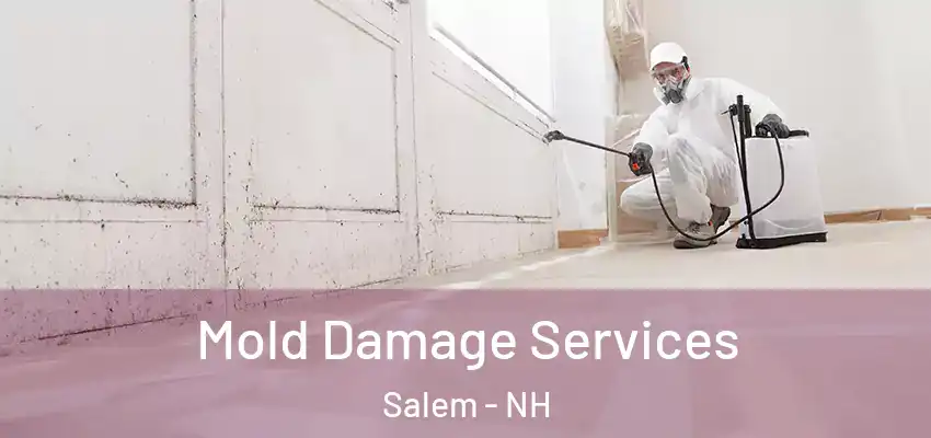  Mold Damage Services Salem - NH