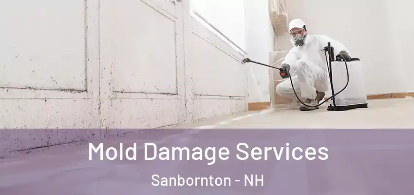  Mold Damage Services Sanbornton - NH