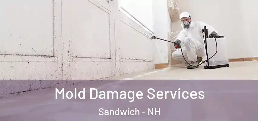  Mold Damage Services Sandwich - NH