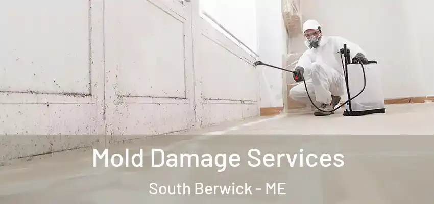 Mold Damage Services South Berwick - ME