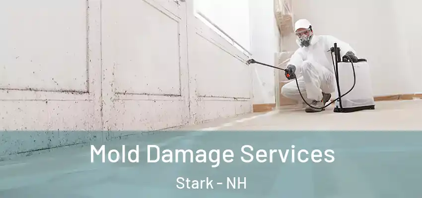  Mold Damage Services Stark - NH
