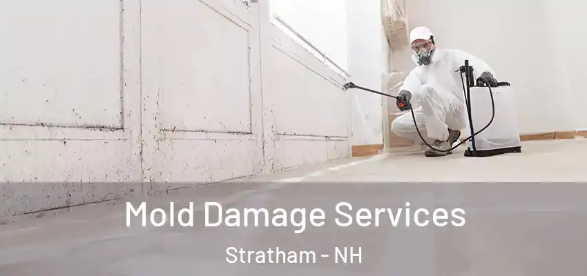  Mold Damage Services Stratham - NH