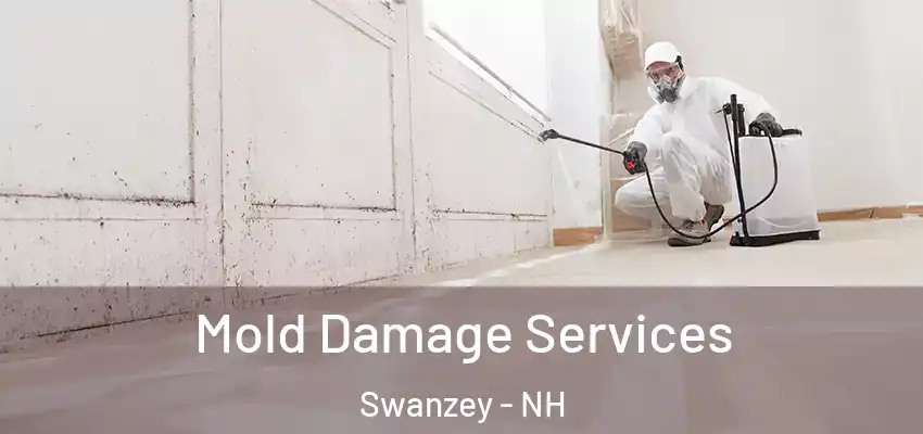  Mold Damage Services Swanzey - NH