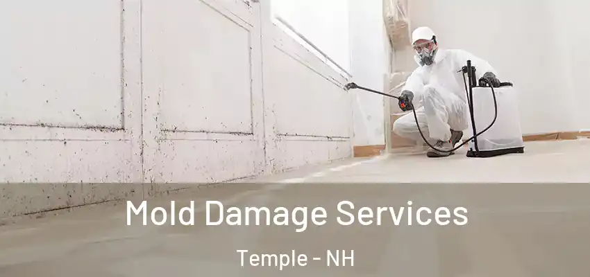 Mold Damage Services Temple - NH