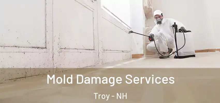  Mold Damage Services Troy - NH