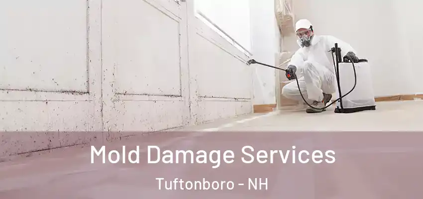  Mold Damage Services Tuftonboro - NH