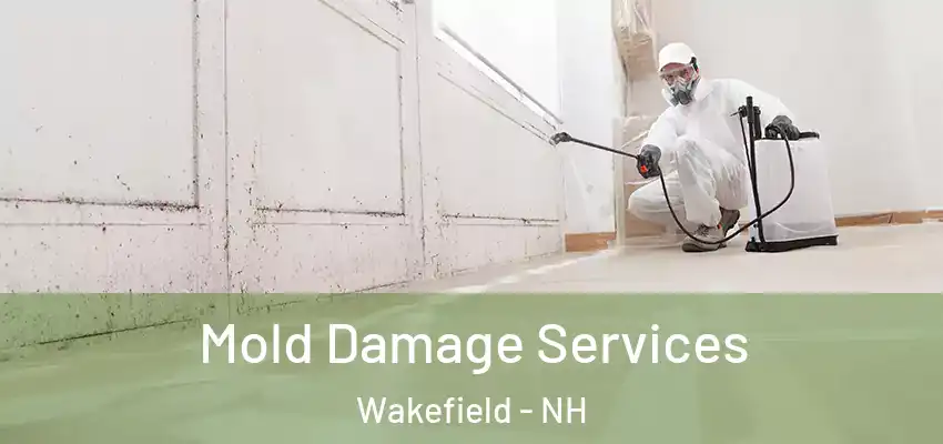  Mold Damage Services Wakefield - NH