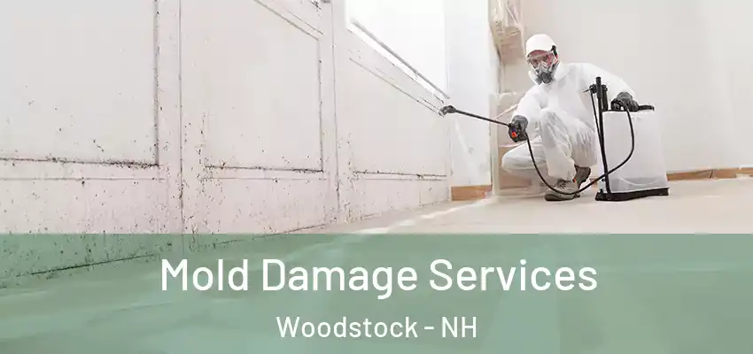  Mold Damage Services Woodstock - NH