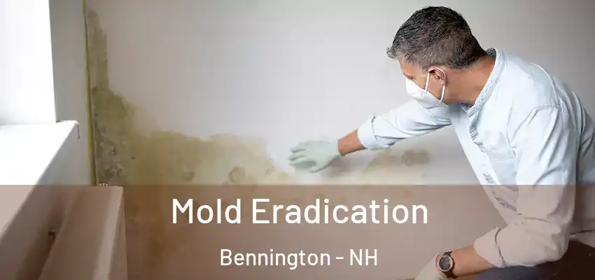  Mold Eradication Bennington - NH