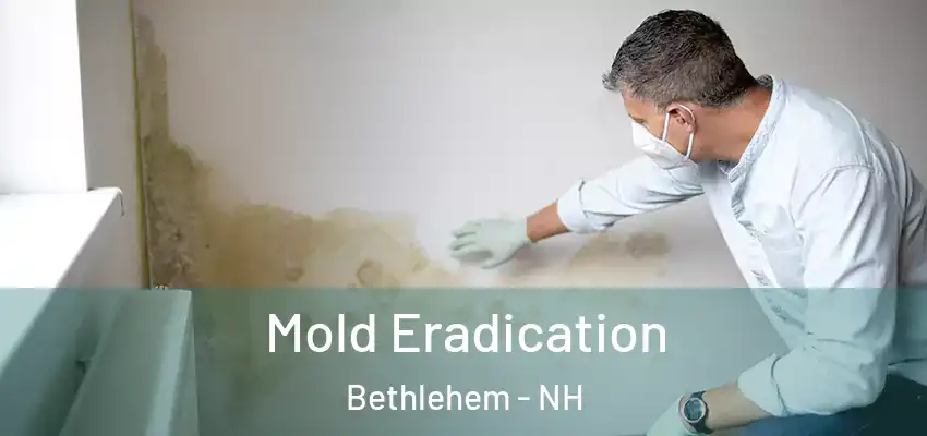  Mold Eradication Bethlehem - NH