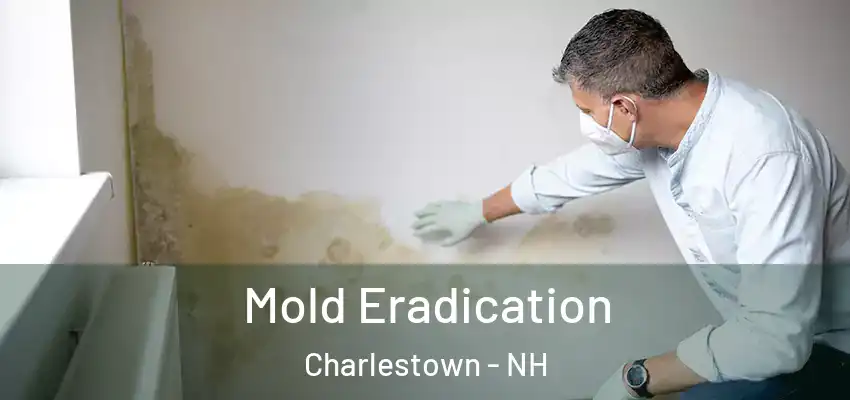  Mold Eradication Charlestown - NH
