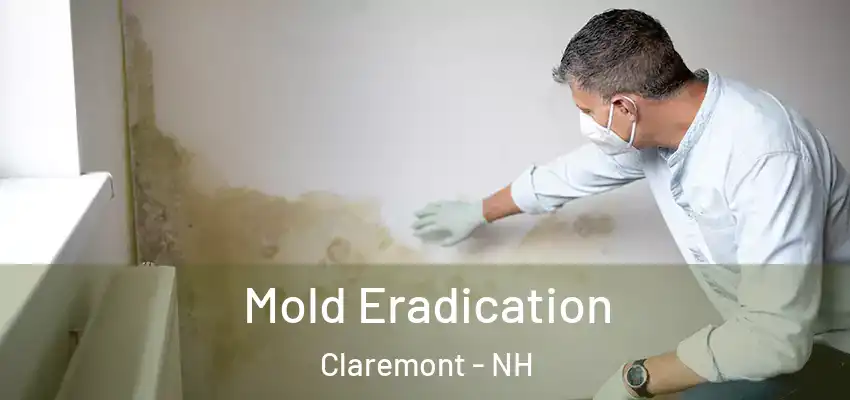 Mold Eradication Claremont - NH