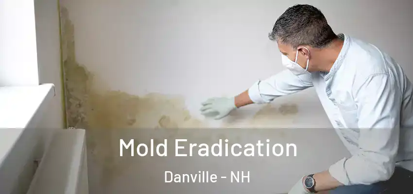  Mold Eradication Danville - NH