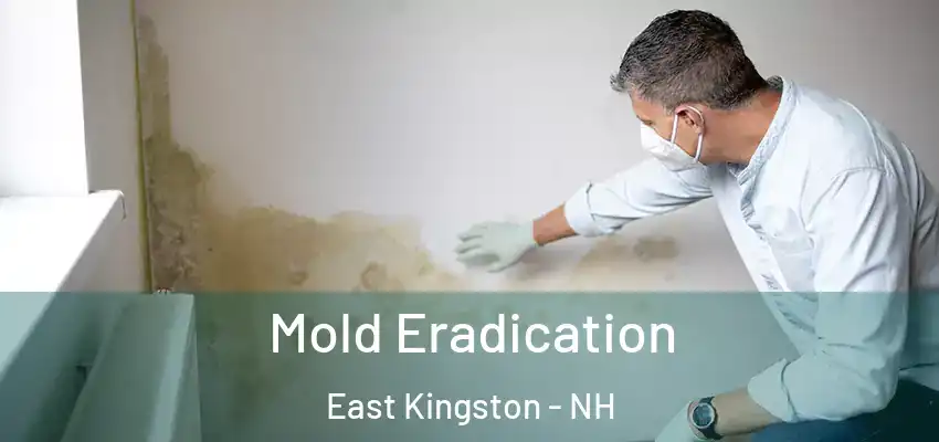  Mold Eradication East Kingston - NH