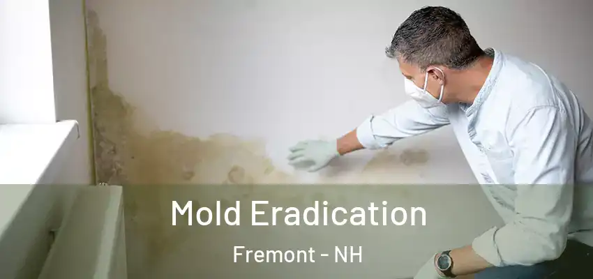 Mold Eradication Fremont - NH