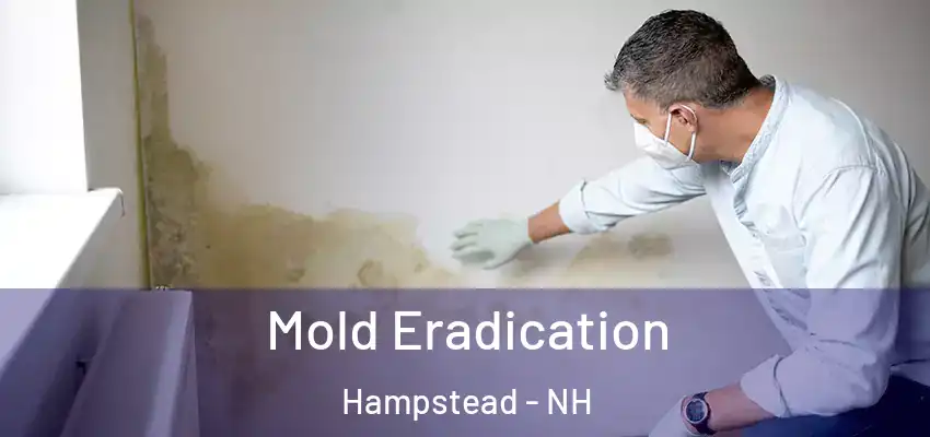  Mold Eradication Hampstead - NH