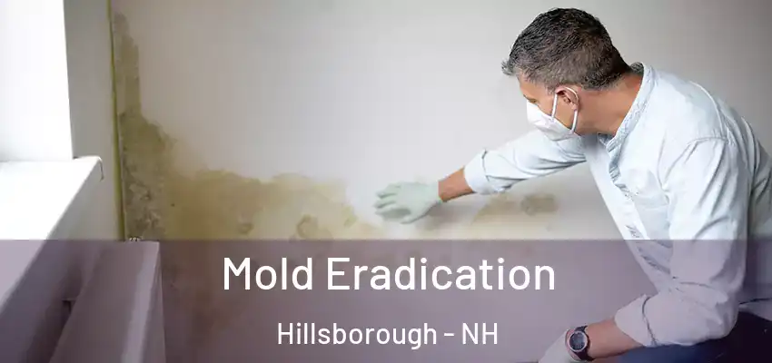  Mold Eradication Hillsborough - NH
