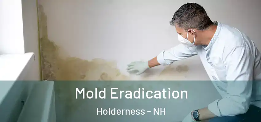 Mold Eradication Holderness - NH
