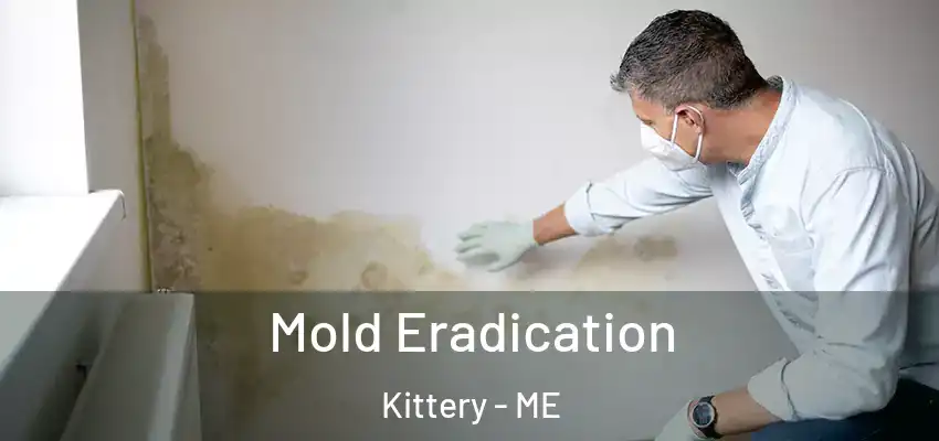  Mold Eradication Kittery - ME