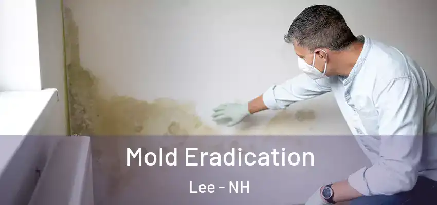 Mold Eradication Lee - NH