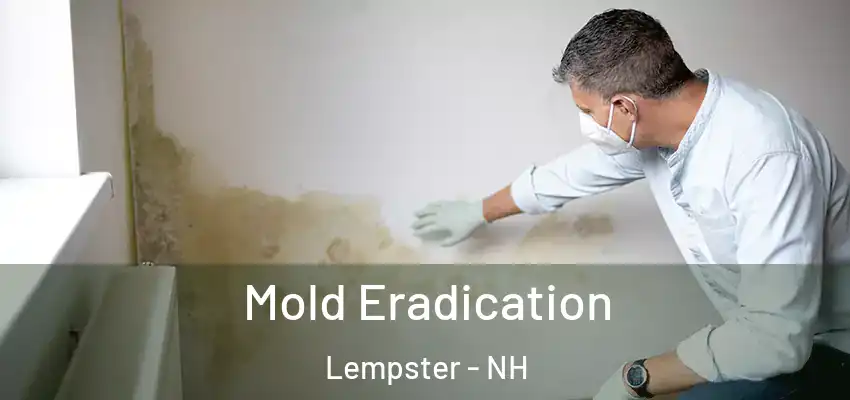  Mold Eradication Lempster - NH